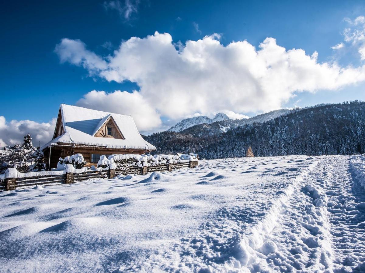 B&B Zakopane - TatryTop Domek pod Giewontem - Bed and Breakfast Zakopane