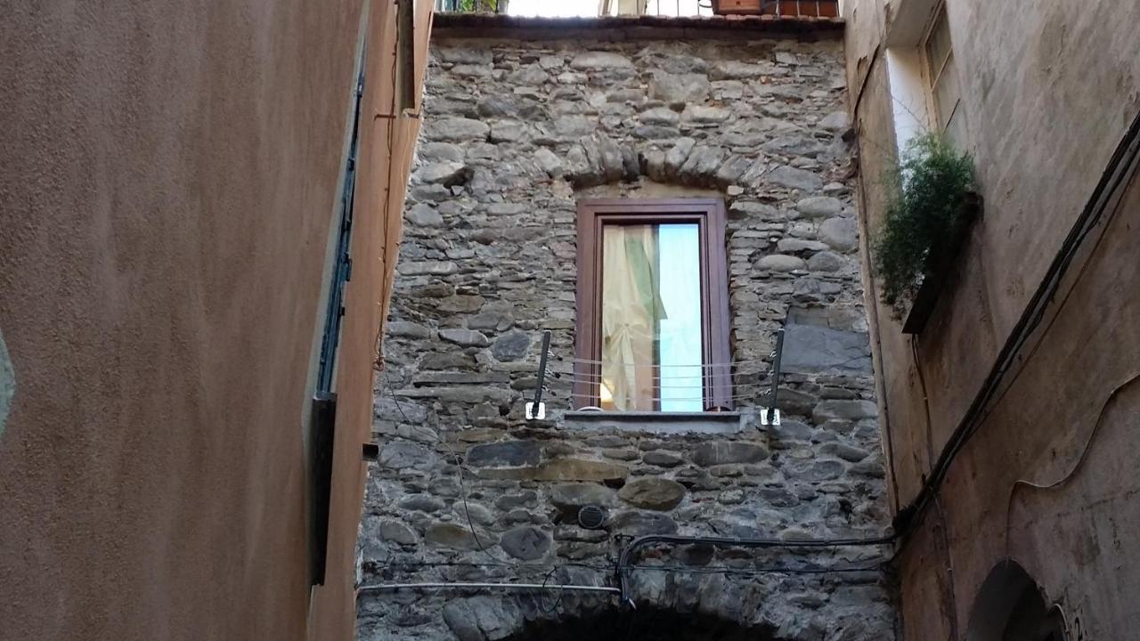 Le Case del Libro Verde Acino d'Uva - B&B Dolceacqua