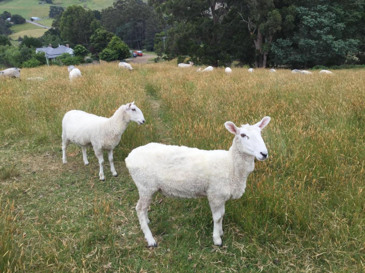 Shanleys Huon Valley - B&B