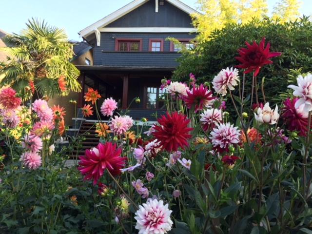 B&B Vancouver - Beautiful, Quiet 3BR in Posh Kitsilano - Bed and Breakfast Vancouver