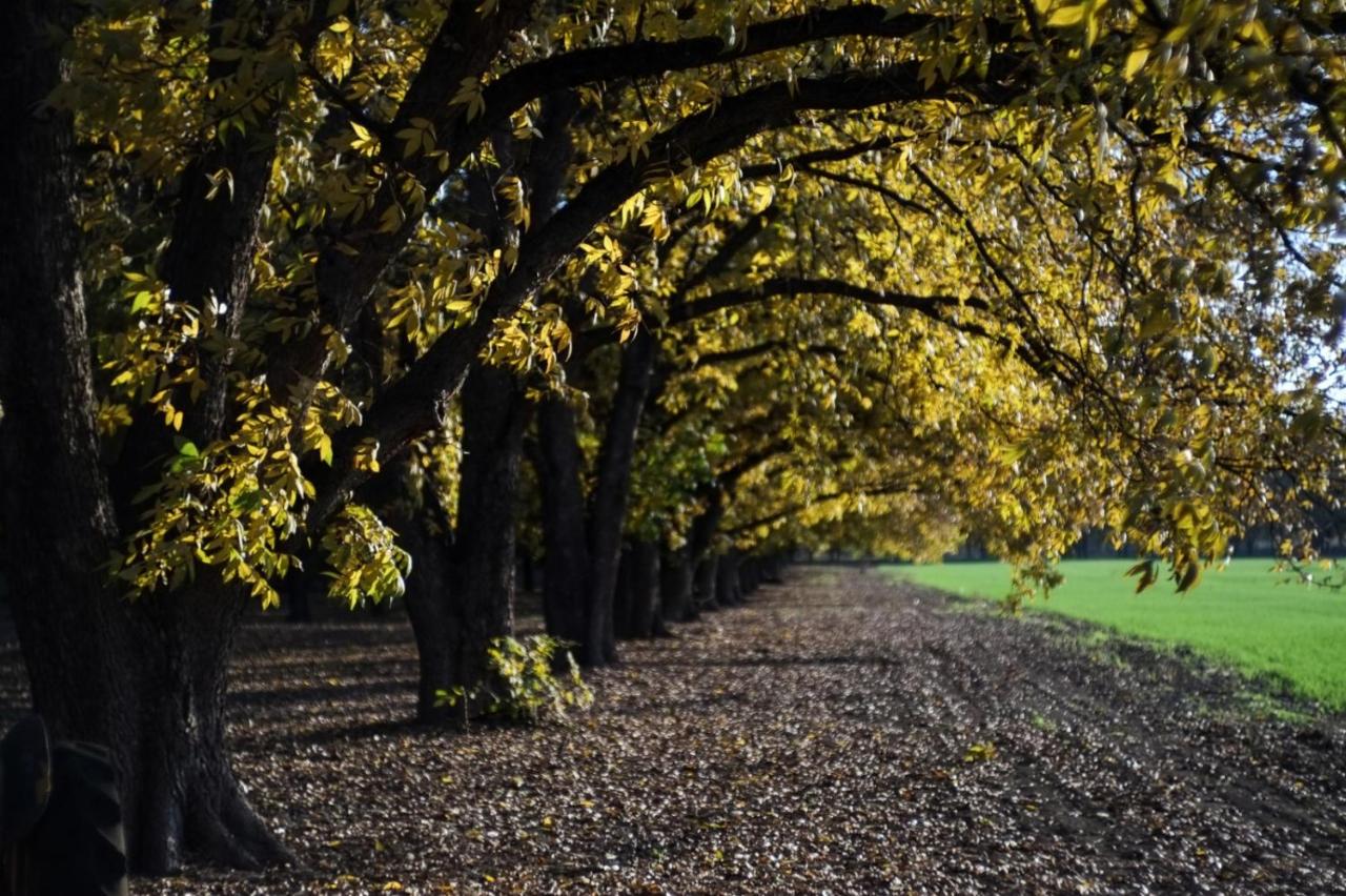 חווה של דני - B&B Beit Hillel