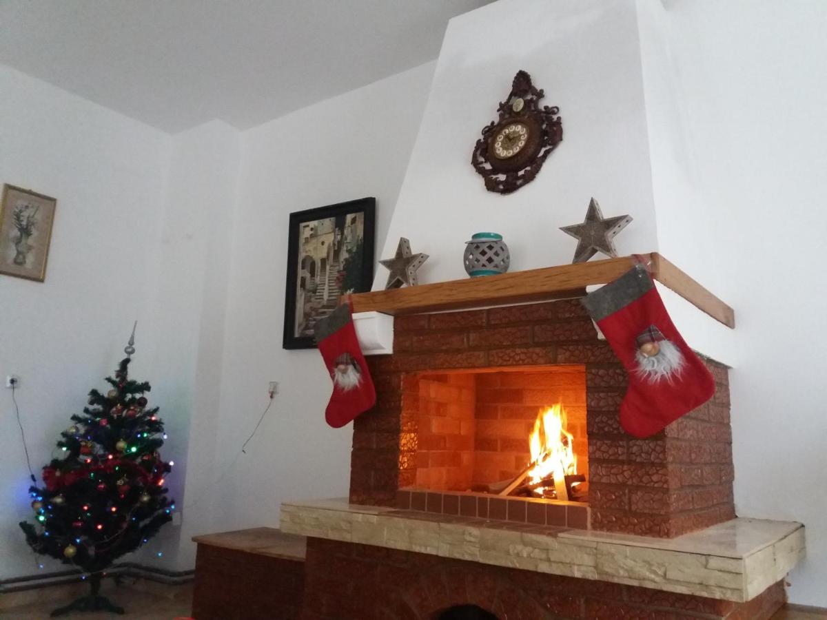Pensiunea Broscuta - Bed and Breakfast