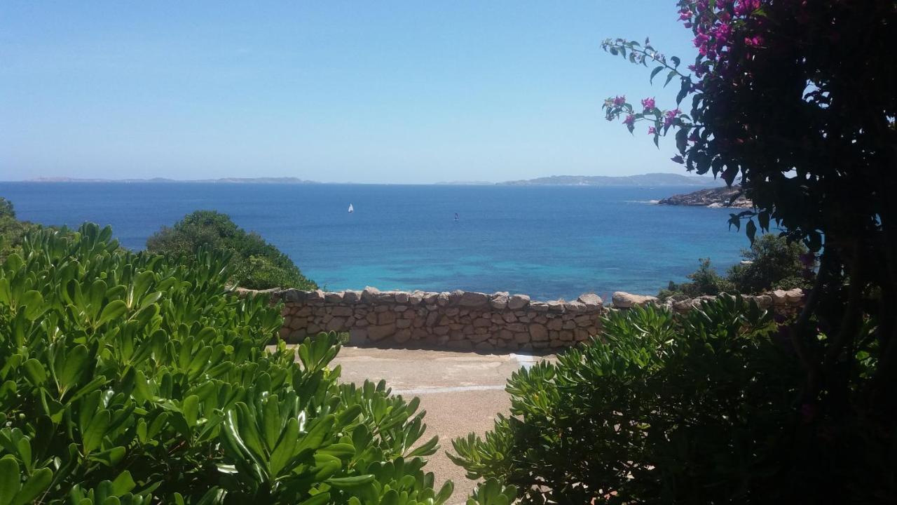 Studio Apartment with Sea View