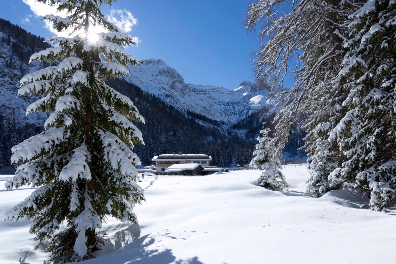 Alpengasthof Gern Alm - Ferienwohnung