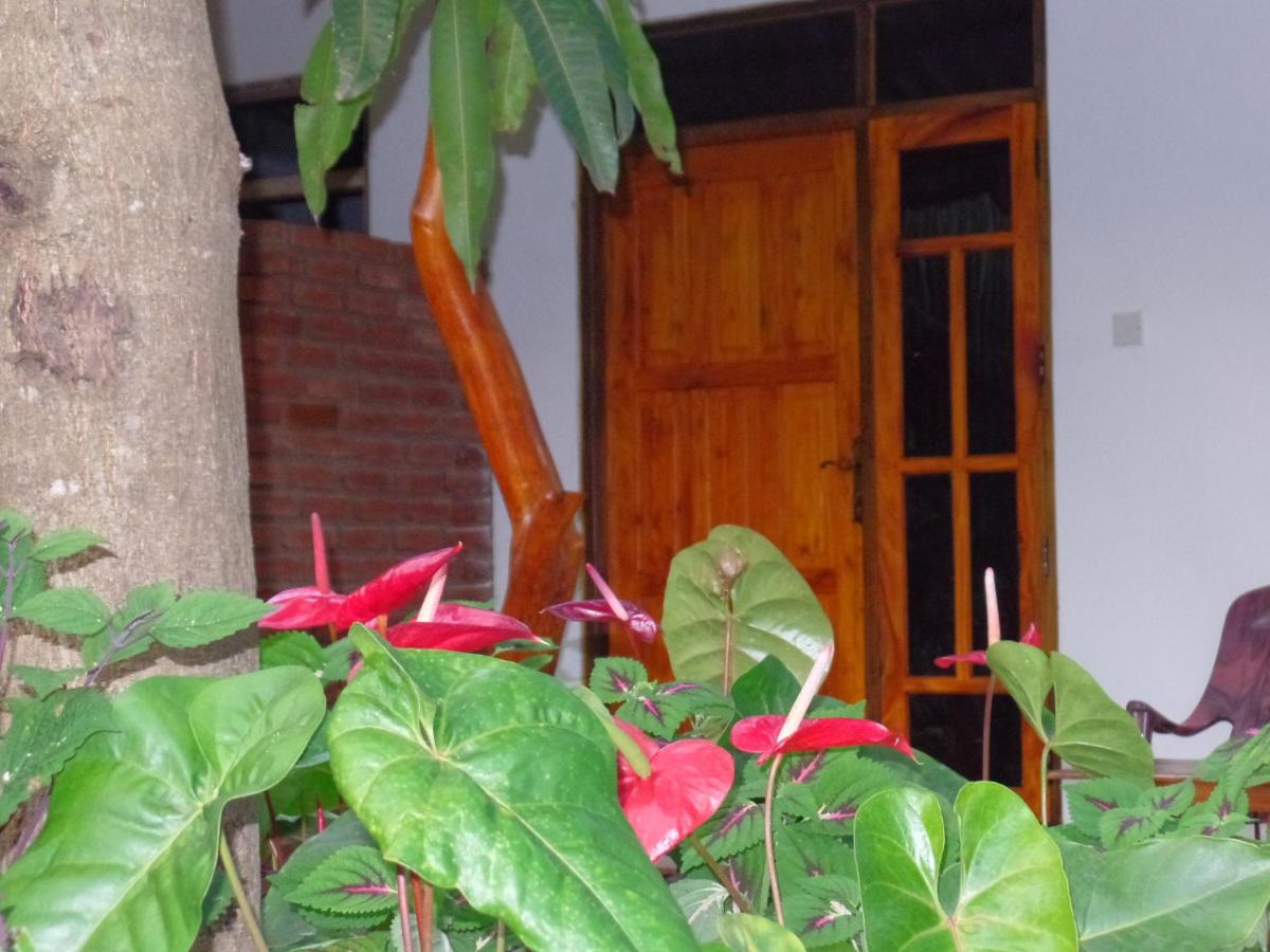 Amaya River Side Homestay - Ferienwohnung Sigiriya