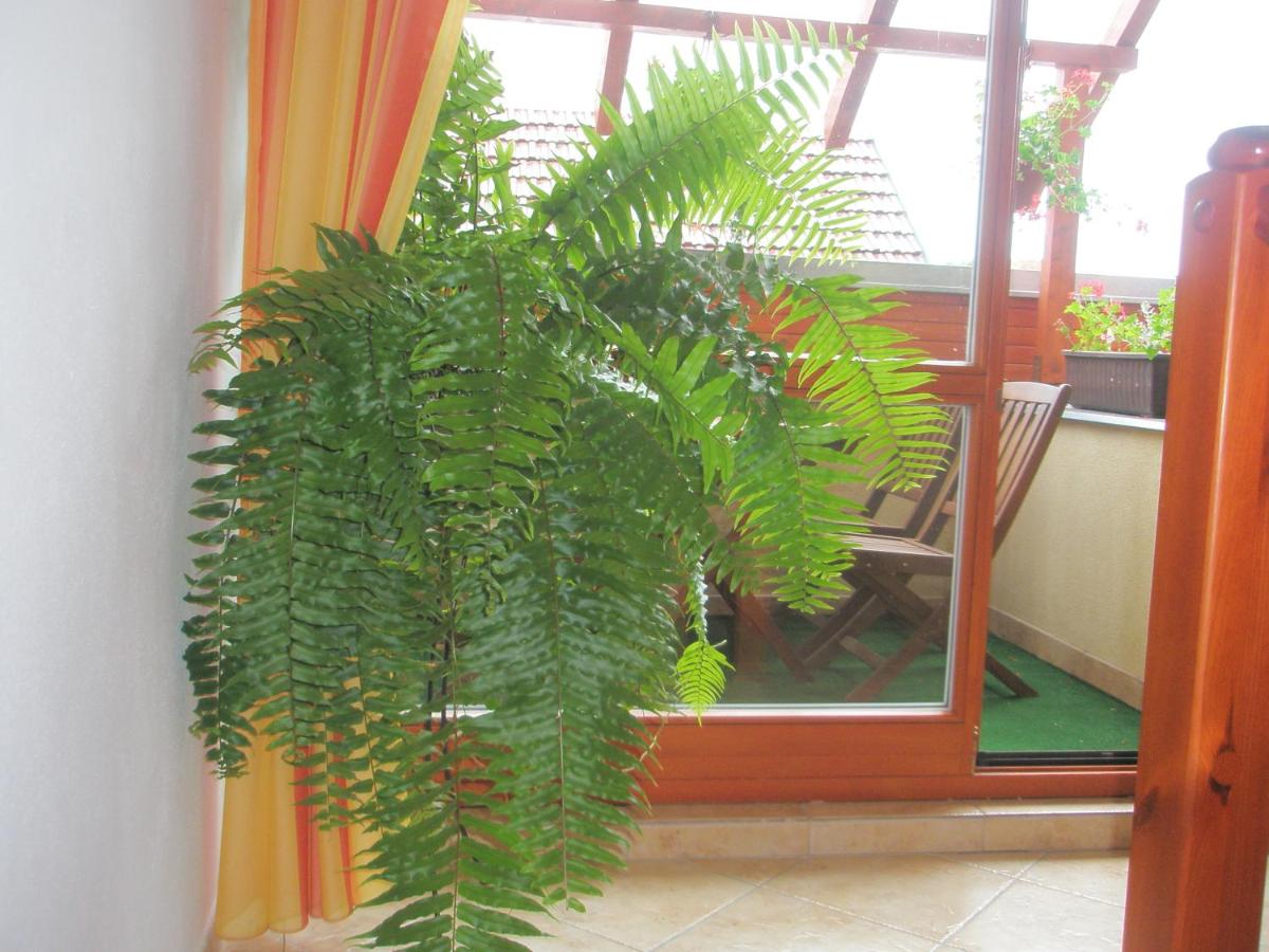 Studio with Balcony