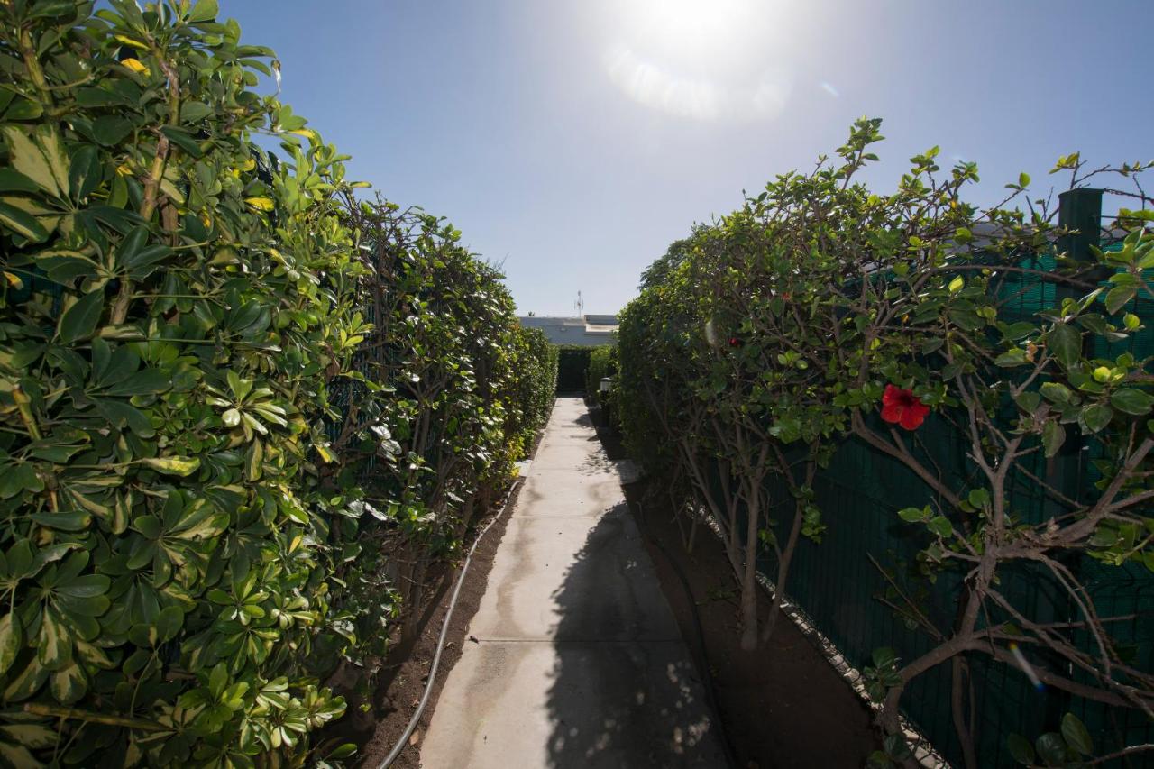 Aloha Maspalomas - Wonderful private terrace - B&B