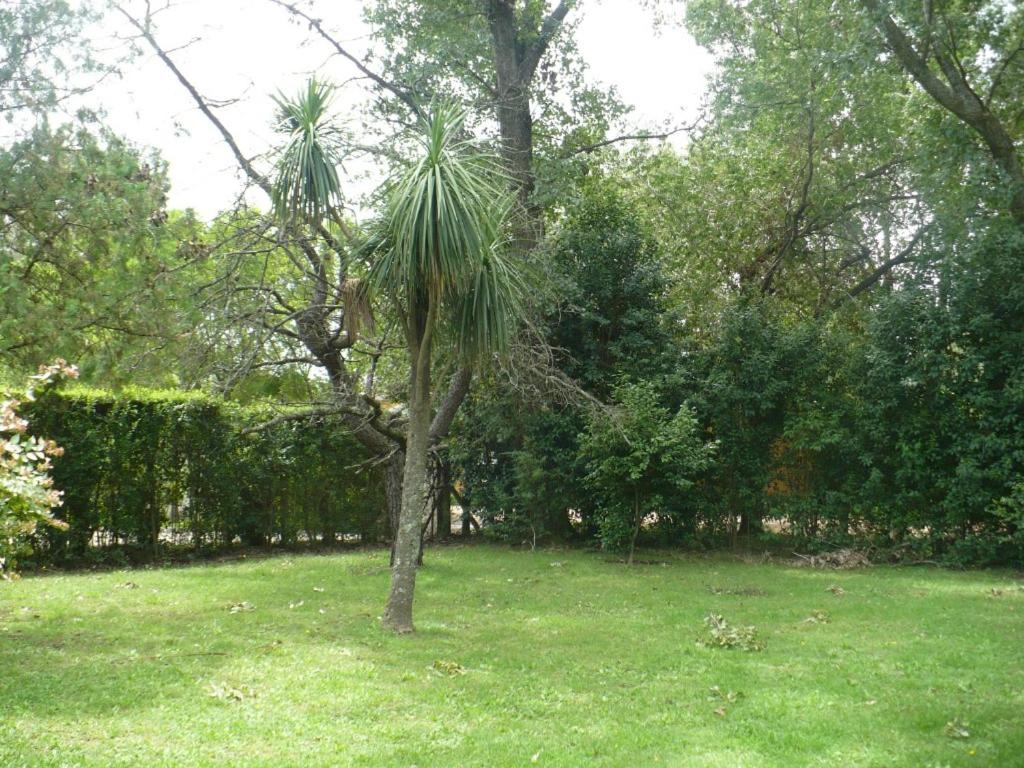 Casa quinta Chivilcoy - B&B