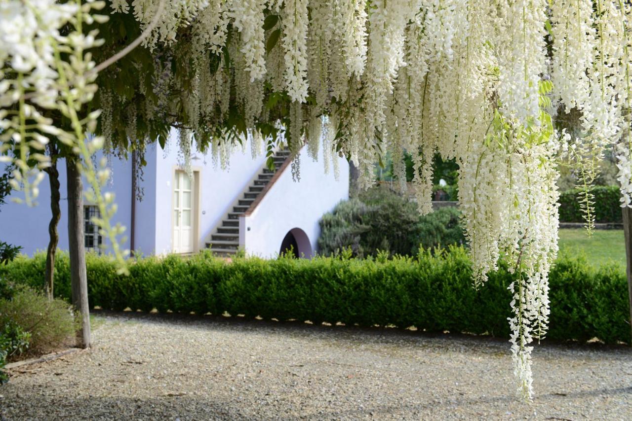 ai Santinelli - Chambres d’hôtes Lucques