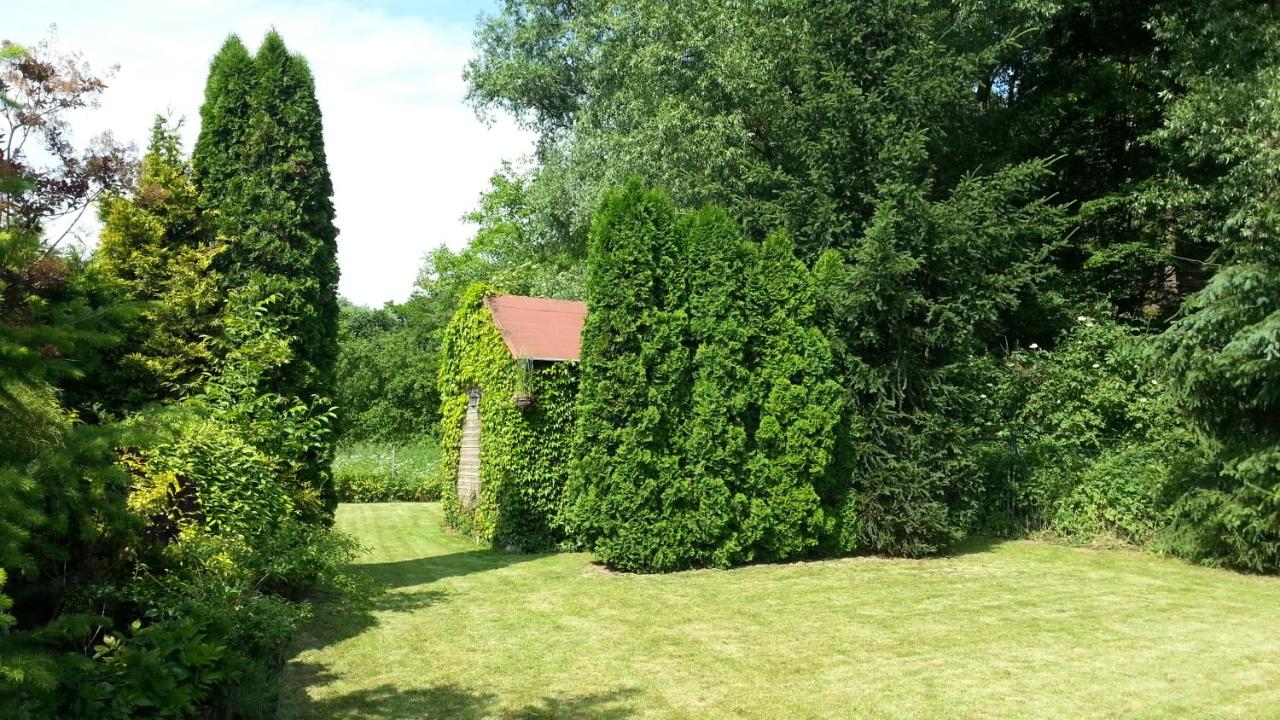 Prázdninový dům u lesa - B&B