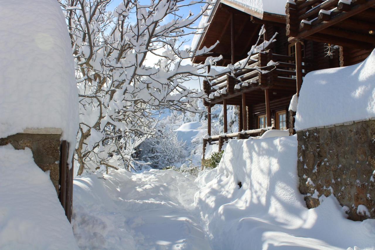 Paradise Chalet - B&B