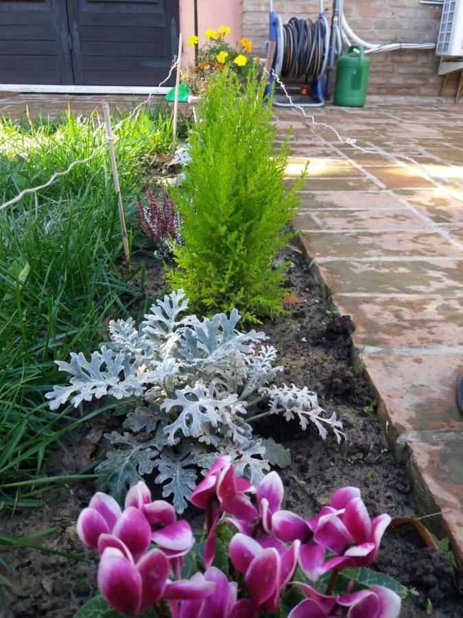 Studio met Uitzicht op de Tuin