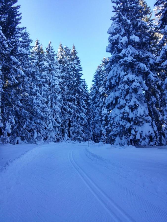 Habitación Doble - 1 o 2 camas