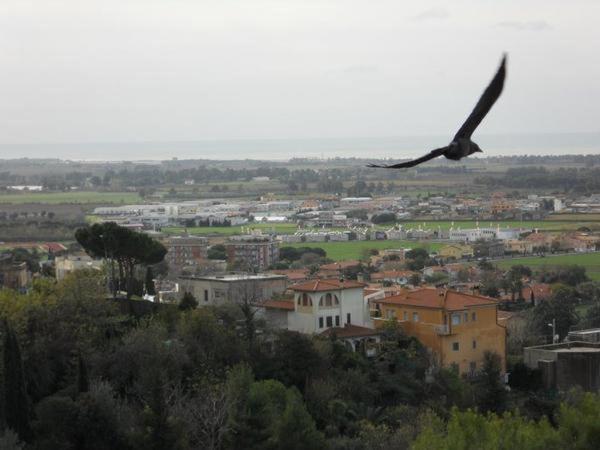al castello - Bed and Breakfast