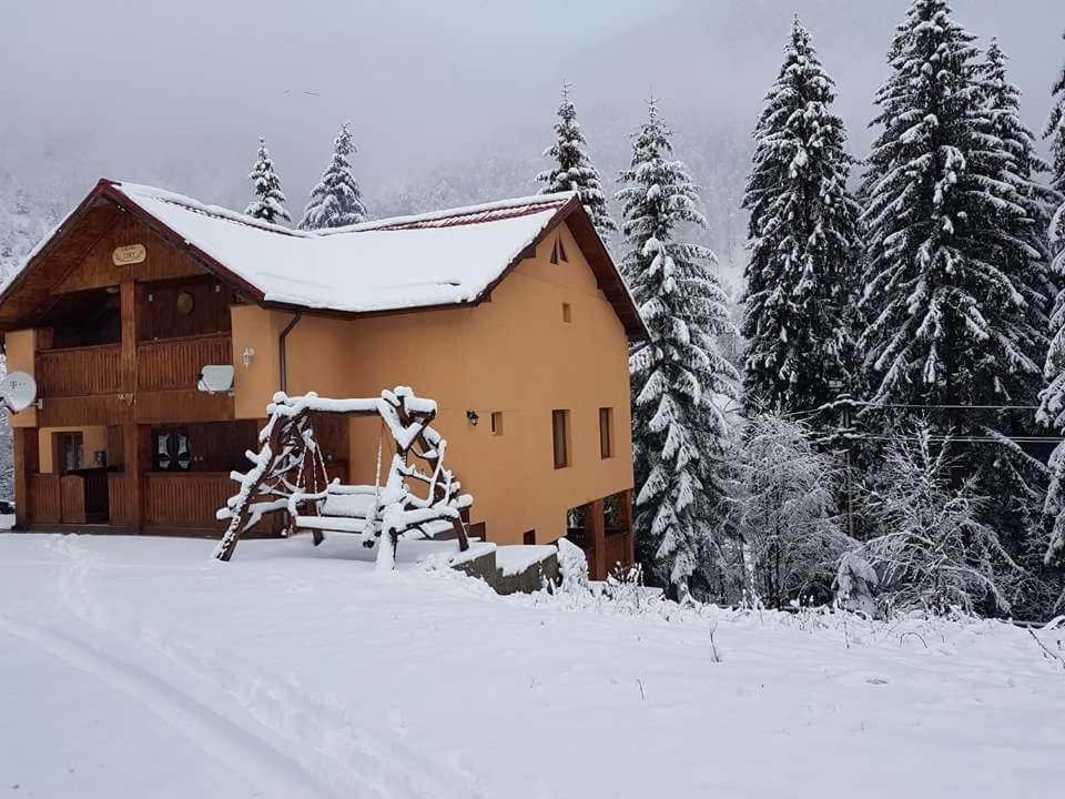 Cabana Cory Râușor - B&B