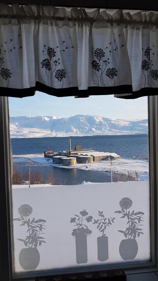 B&B Hjalteyri - The Viking Country Club - Bed and Breakfast Hjalteyri