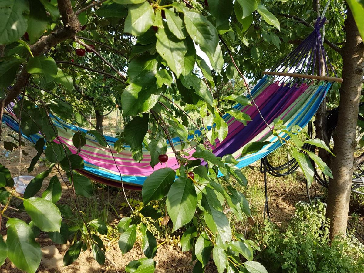 Appartamento con Vista Giardino