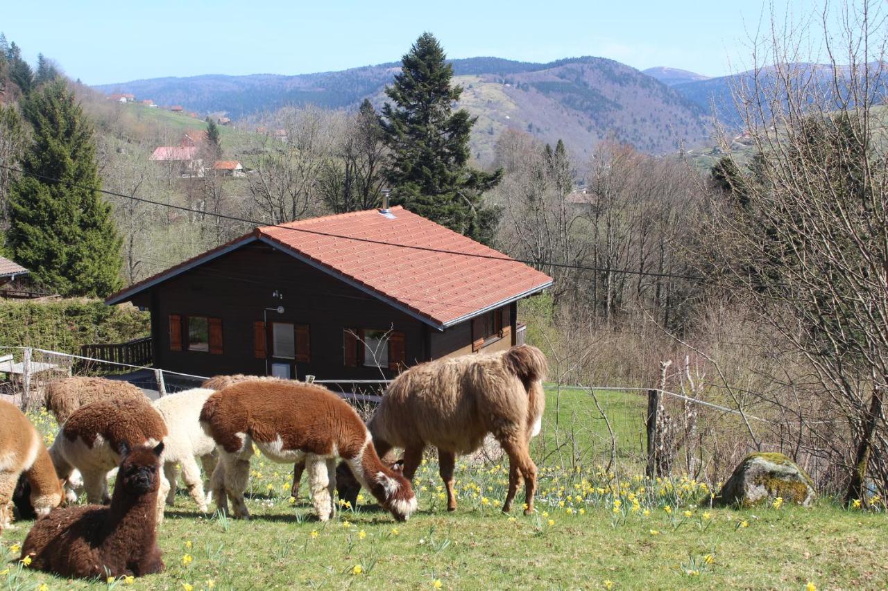 B&B La Bresse - Chalet Les Bouleaux, la montagne des lamas - Bed and Breakfast La Bresse