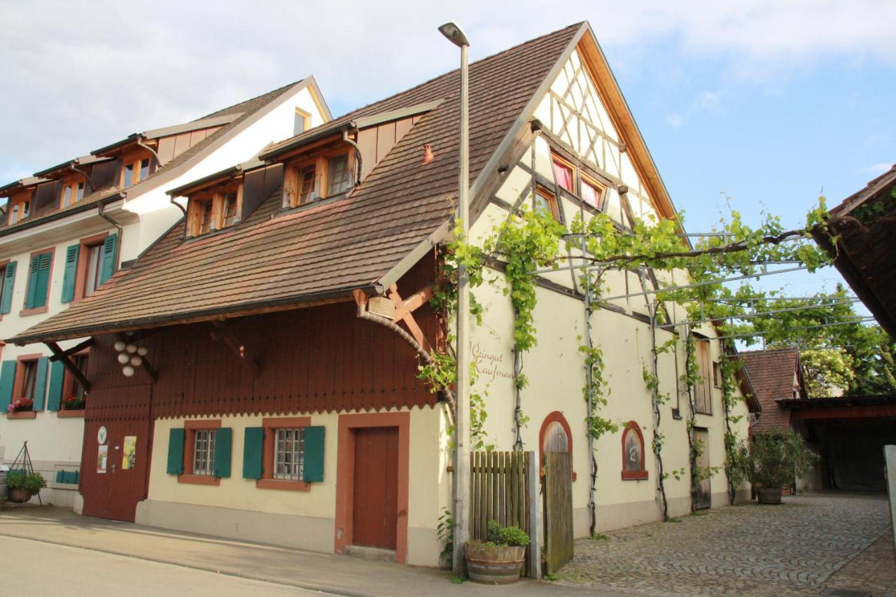 Bioweingut und Ferienwohnung Kaufmann - B&B