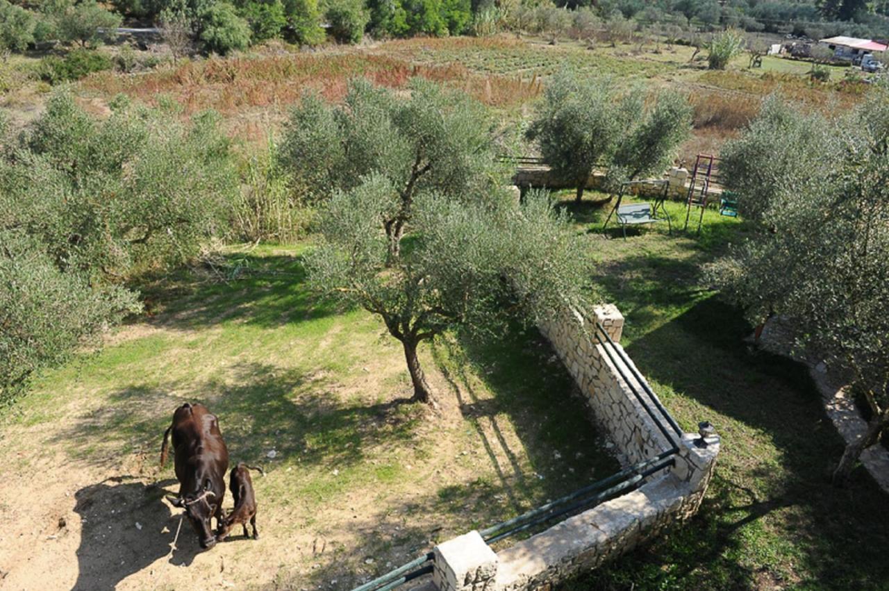 Appartamento Standard con 2 Camere da Letto