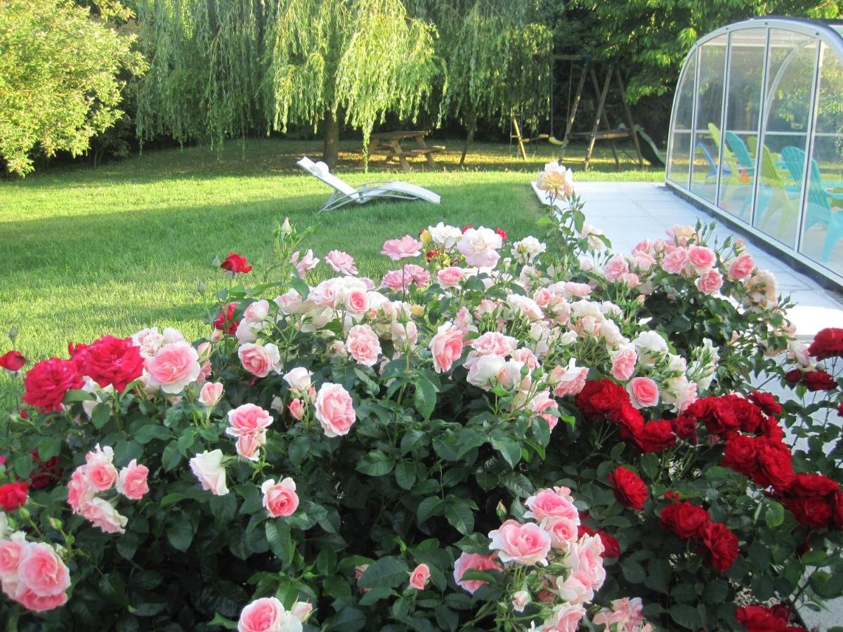 Suite Familiale avec Salle de Bains Privative