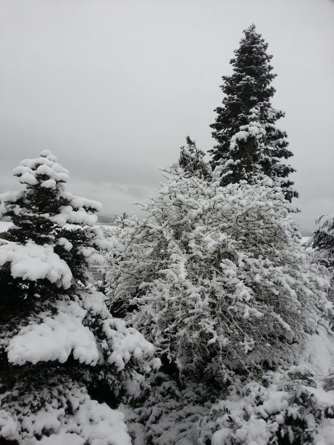 Apartment mit Terrasse