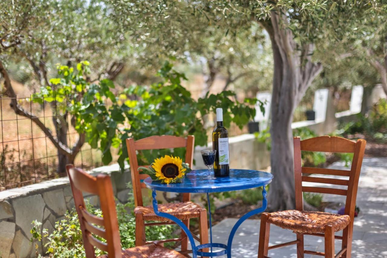 Studio with Garden View