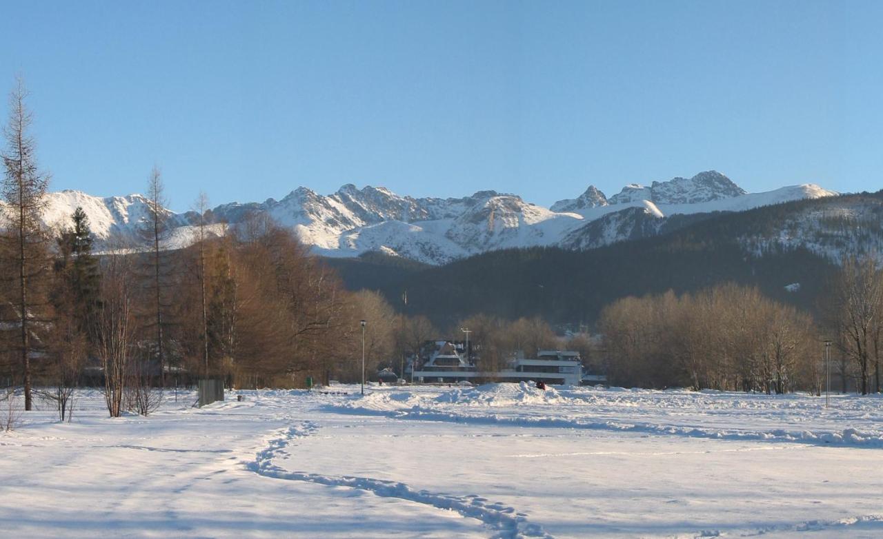 Family Room (3 Adults +  1 Child ) 