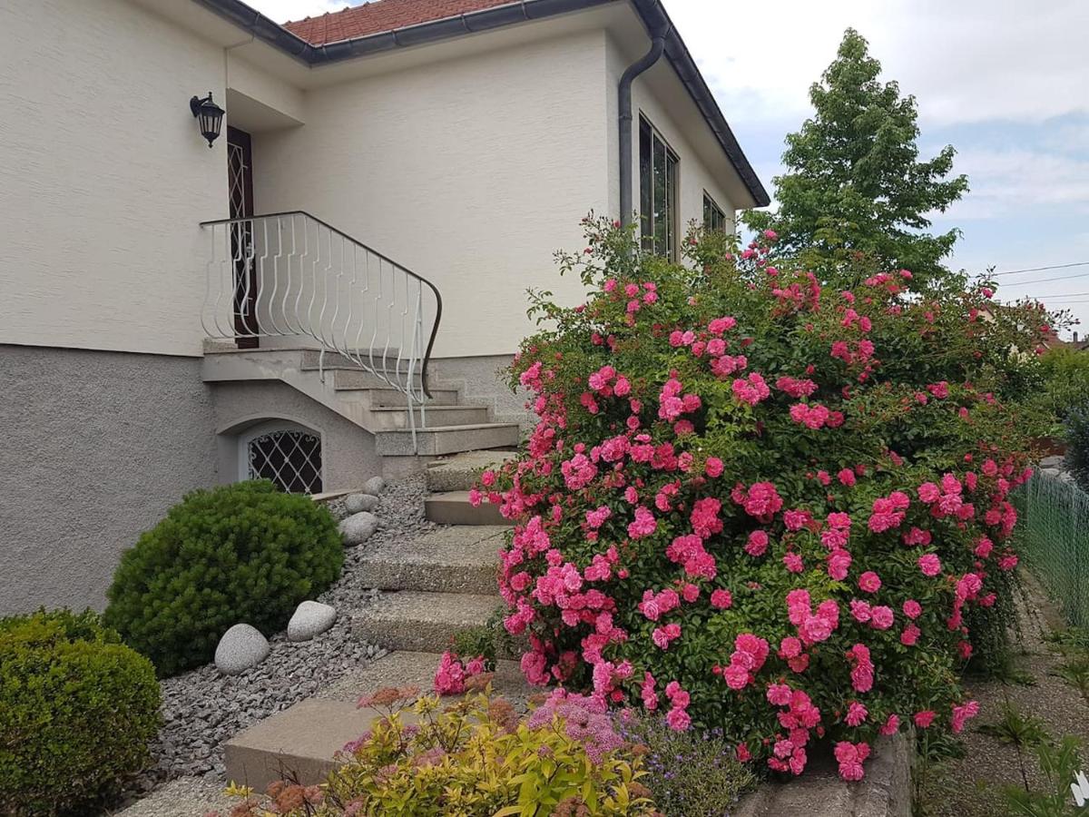 Very nice cosy new appart - B&B