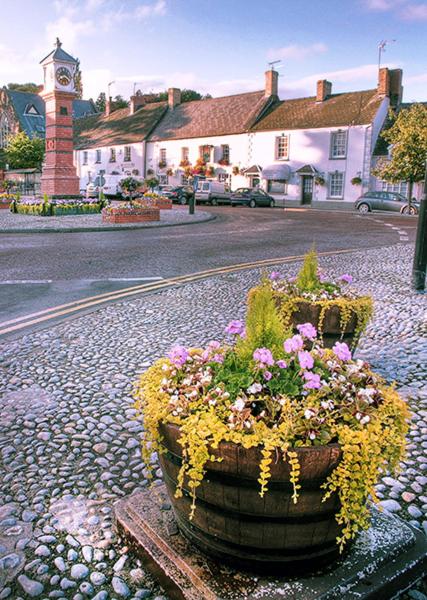 B&B Usk - The Castle Inn - Bed and Breakfast Usk