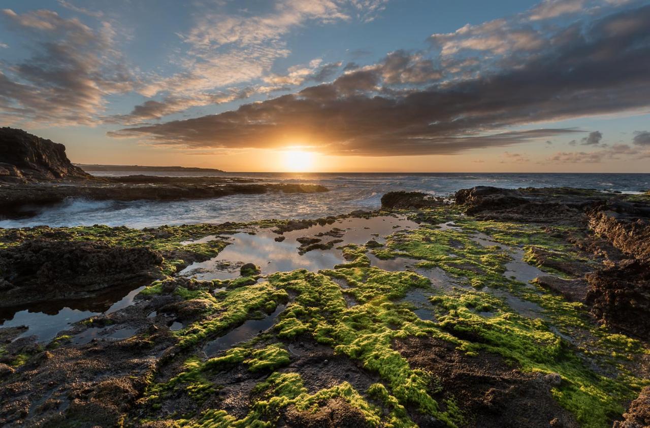 Fronton Whale Apartamentos - Ferienwohnung Gáldar
