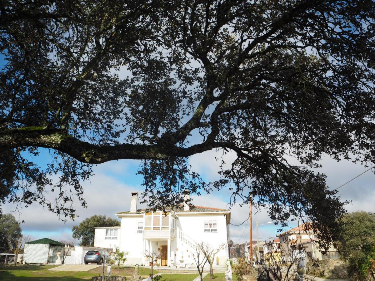 Villa Entre Encinas - B&B Moralina