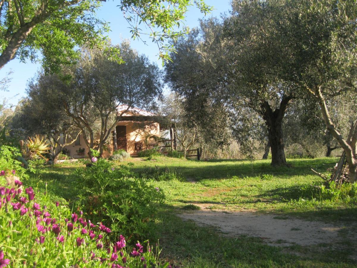 B&B Sa Ingia - Ferienwohnung