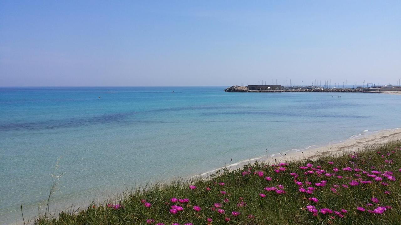 casa azzurra - B&B San Foca