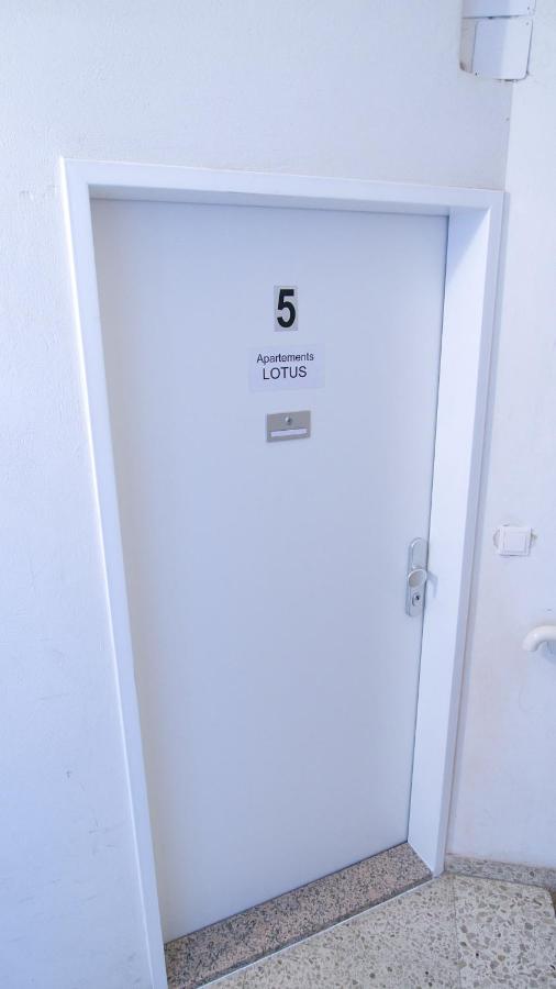 Lotus Apartment Vienna - B&B