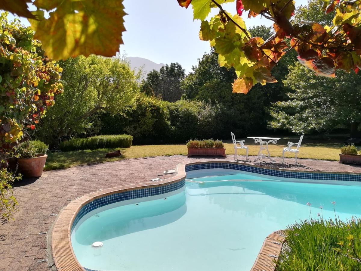 B&B Cape Town - Le Petit Vignoble - Bed and Breakfast Cape Town