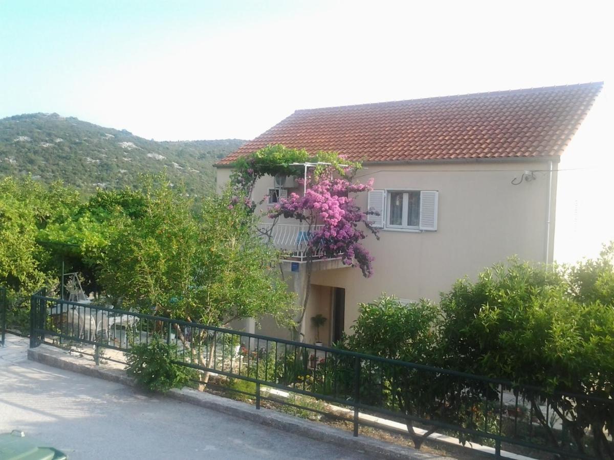 B&B Banići - Apartments Jelić - Bed and Breakfast Banići