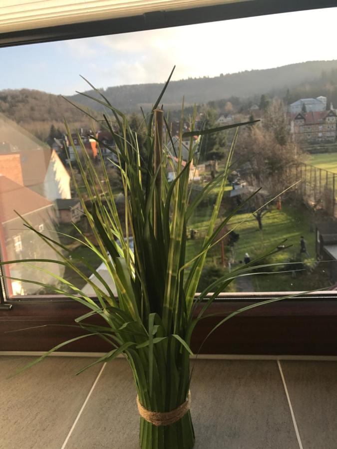 Harzer Ferienlodge - Ferienwohnung