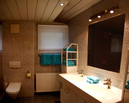 Three-Bedroom Apartment with Terrace