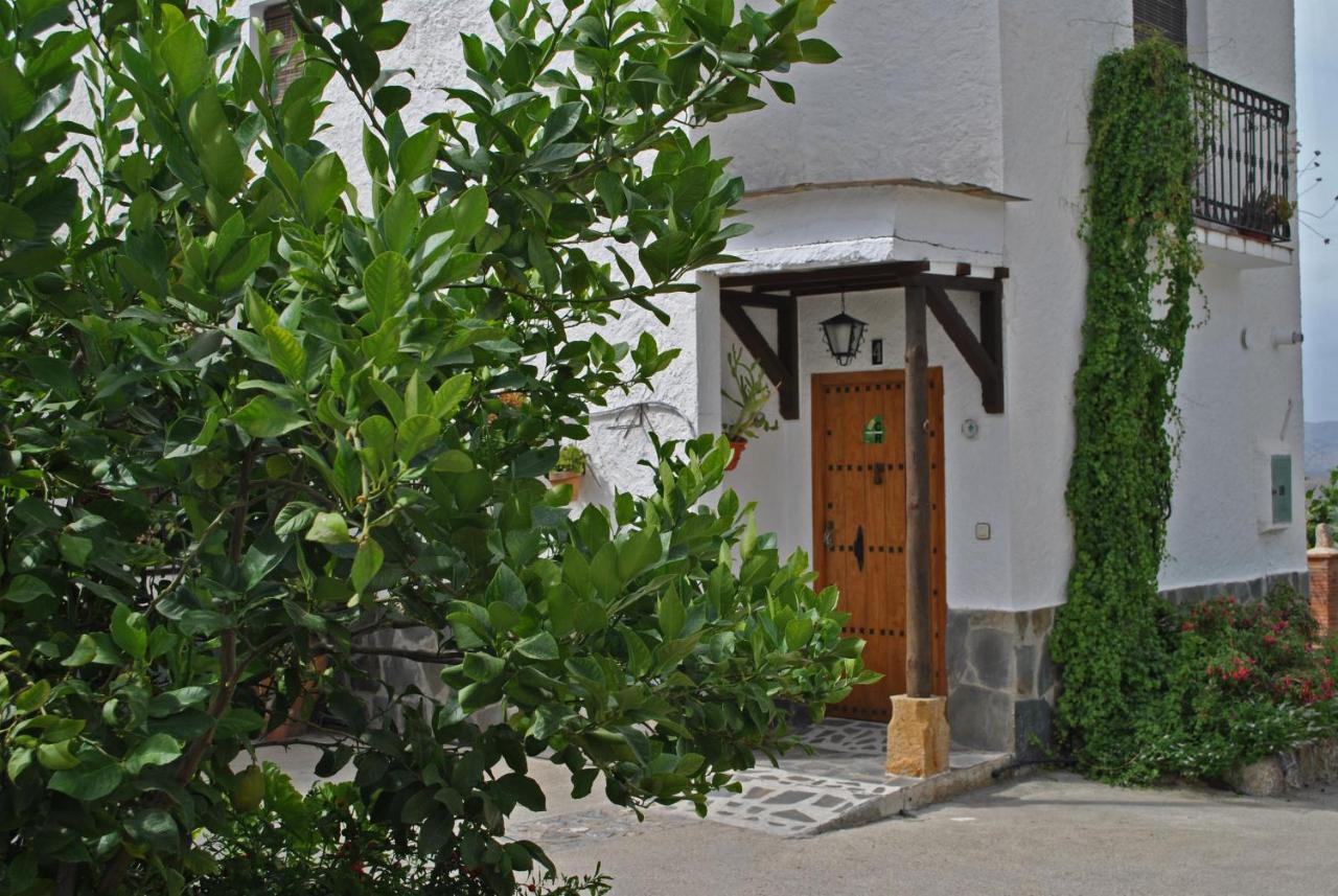 Casa per le Vacanze (6 Adulti)