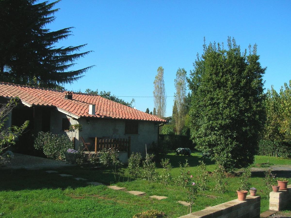 Olive Tree Hill - B&B