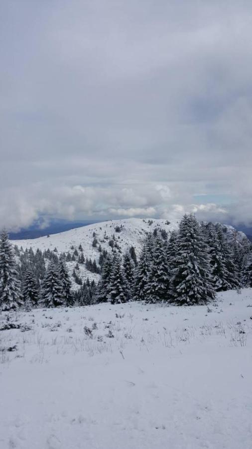 Apartment Simonida - Milmari M3 - B&B Kopaonik