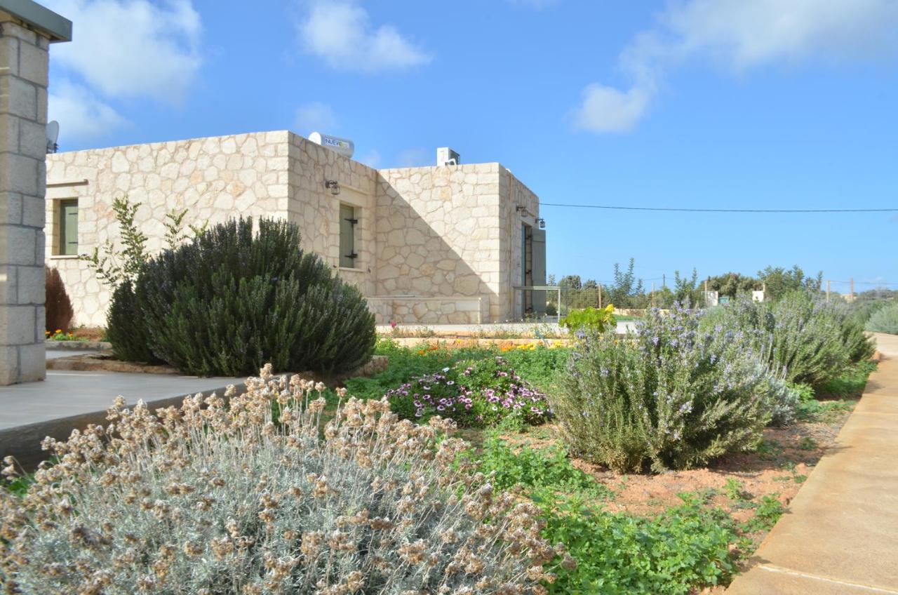 Kalypso Apartments - B&B