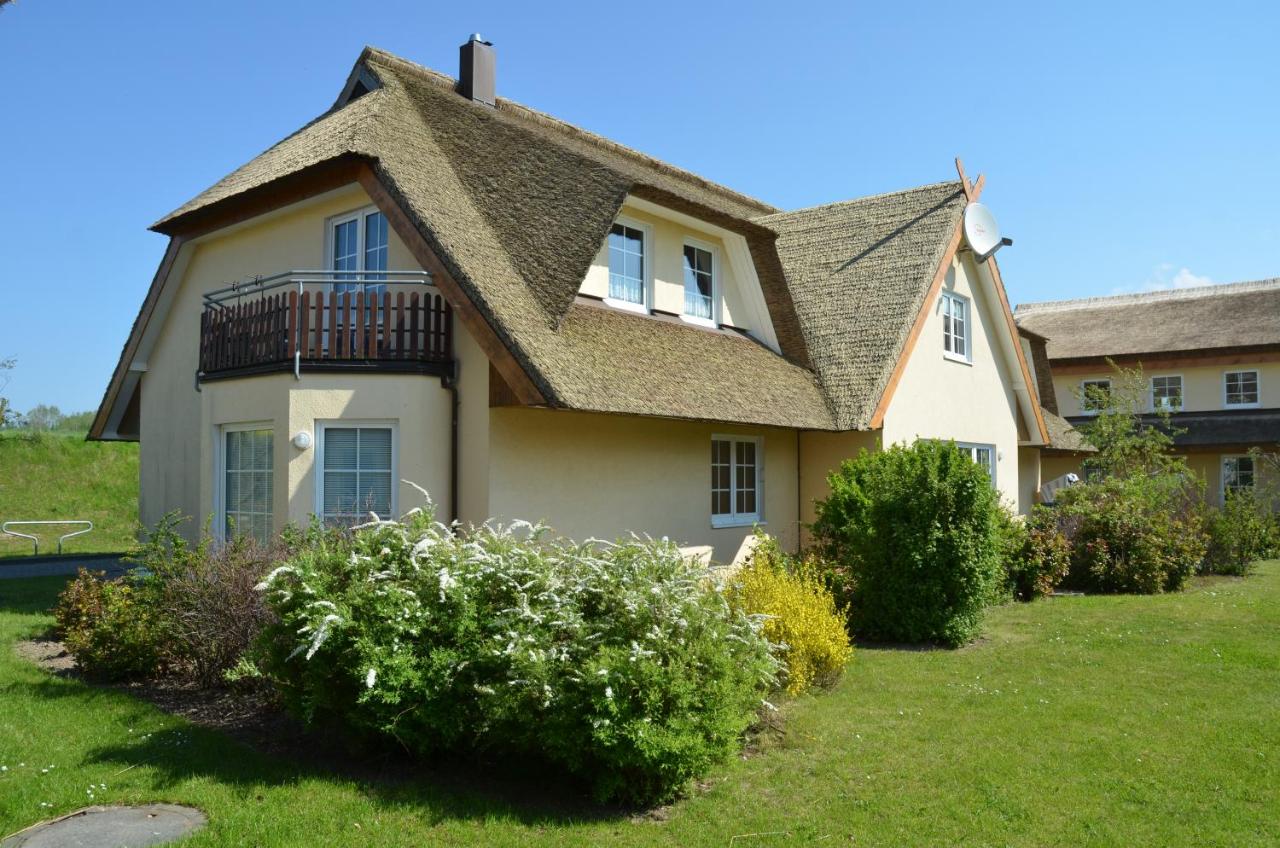 Reethaus Boddenblick - Apt. 09 - B&B