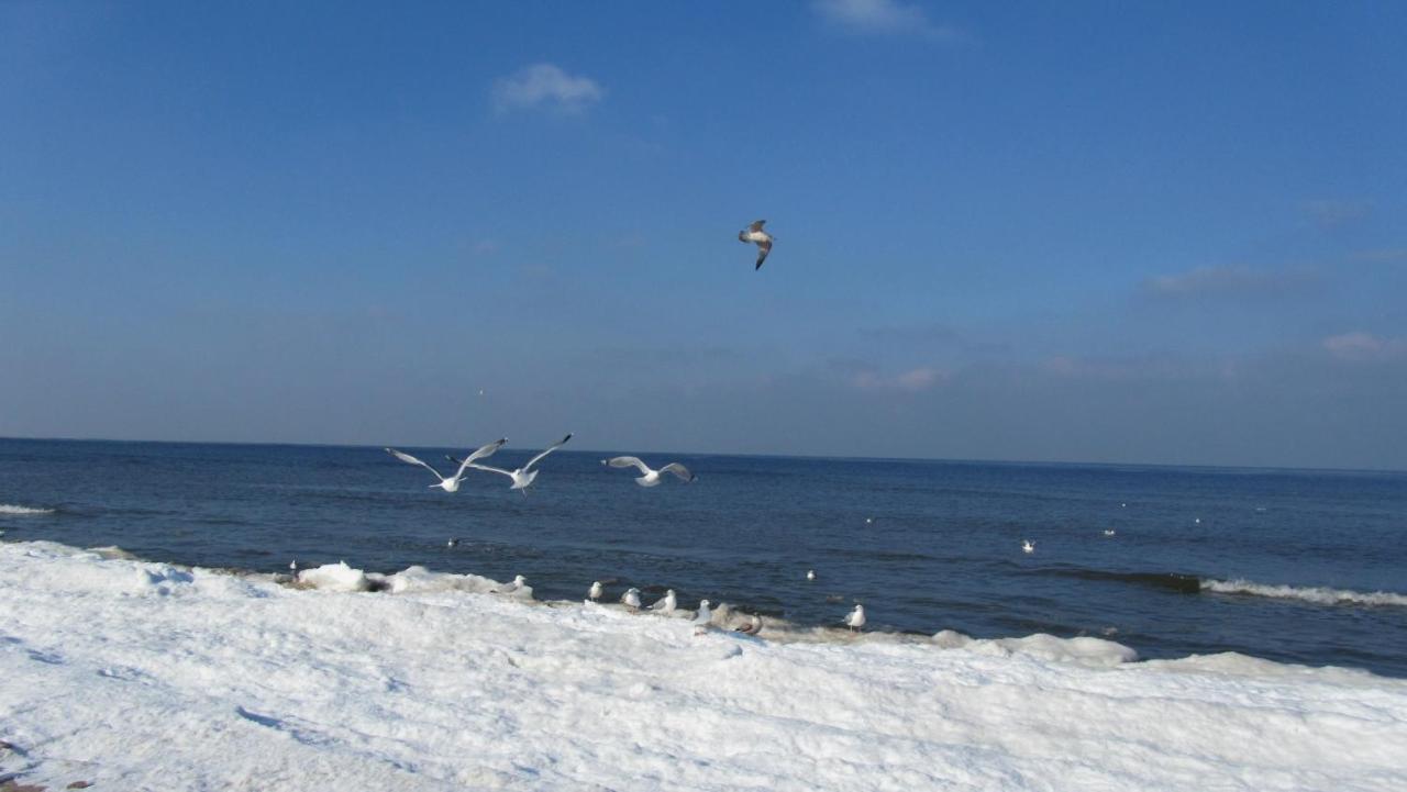 Appartamento con Balcone