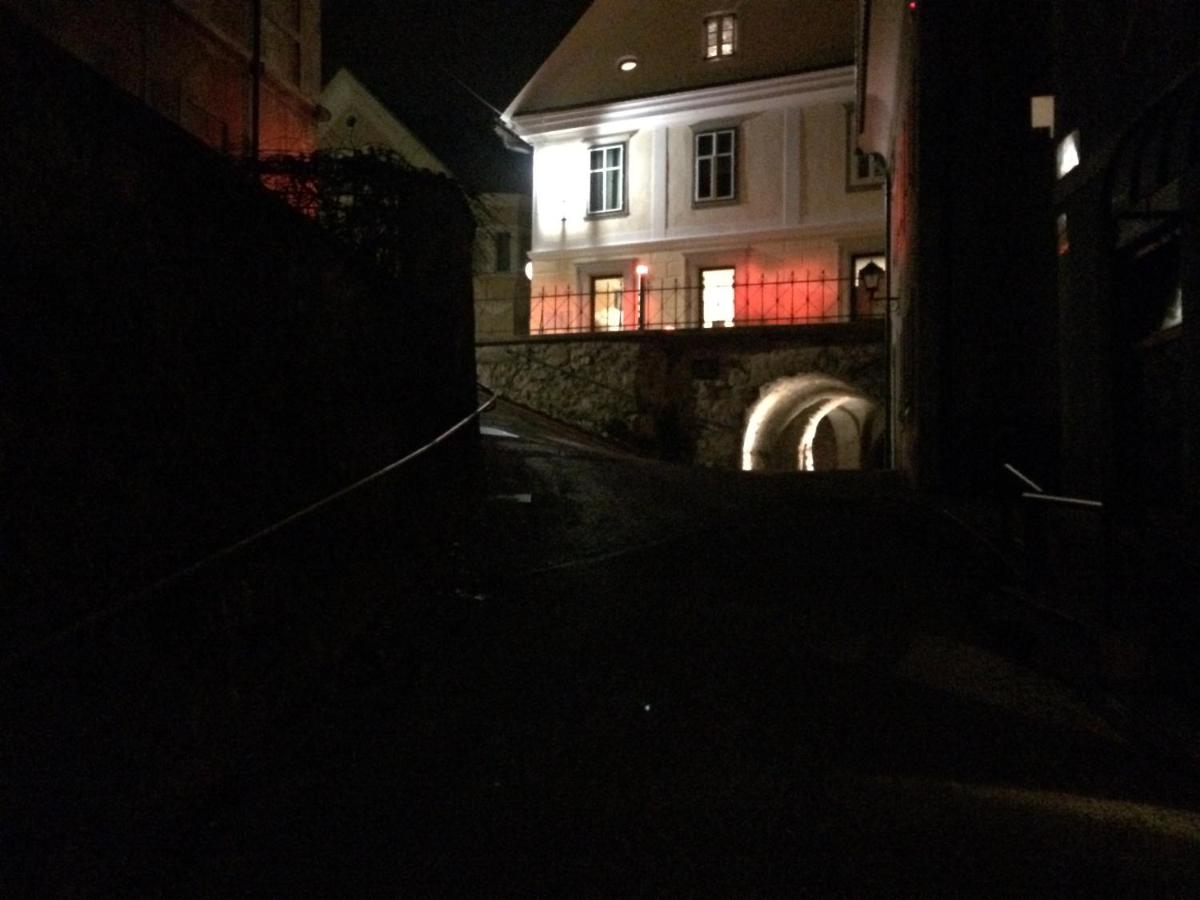 Old town Wall Radovljica - Appartment - B&B Radovljica