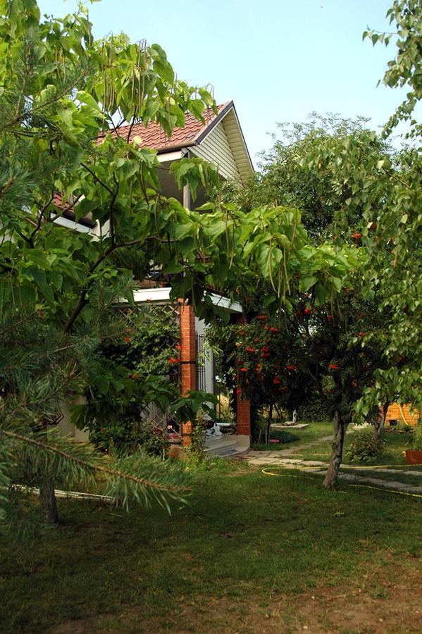 B&B Hrybivka - Dacha u Morya Bugaz - Bed and Breakfast Hrybivka