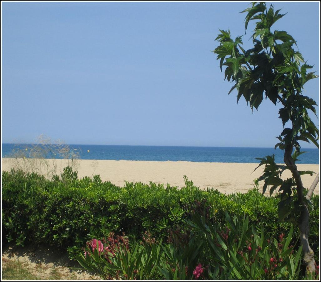 Locations Meublées Plage des Pins - B&B