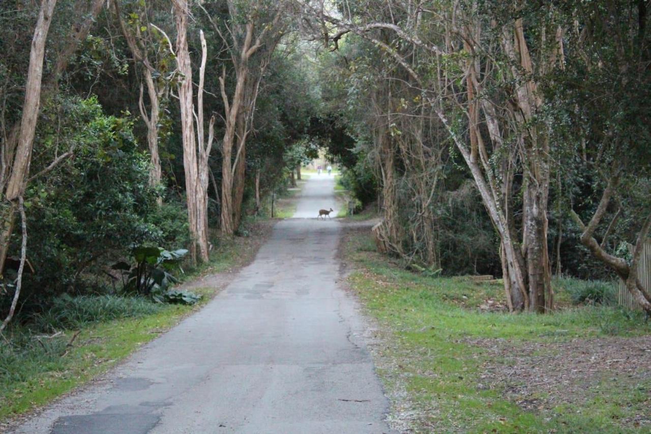 B&B Nature’s Valley - Nature's Valley Health Retreat A Hide away in the Forest - Bed and Breakfast Nature’s Valley