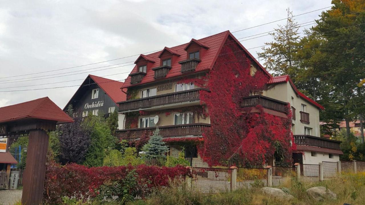 Pokoje Gościnne CYKADA - B&B